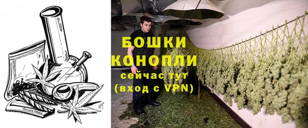 спиды Новозыбков