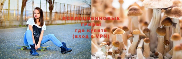 дурь Алзамай